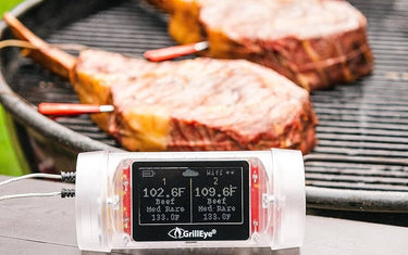 Master Your Summer BBQ with GrillEye