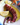 Grilled Octopus, How to Get It Tender and Charred at Home