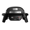 Weber Pulse 1000
